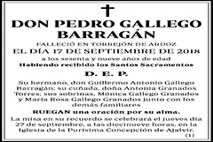 Pedro Gallego Barragán